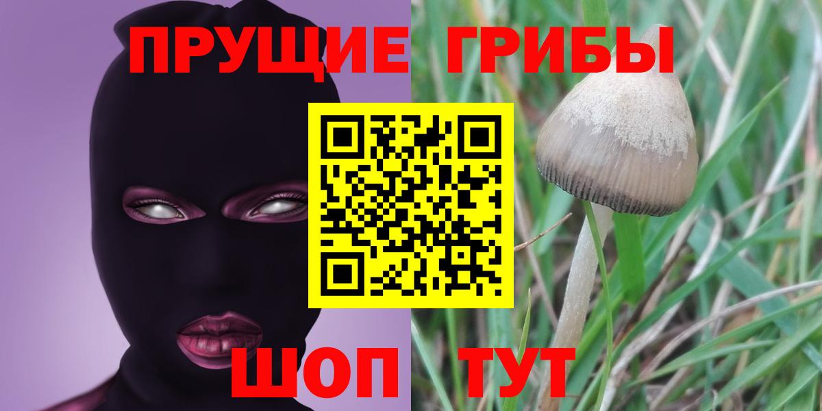 Соликамск  Галлюциногенные грибы мицелий  Вход с VPN 
